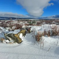 Nature Reserve Hautes Fagnes-Eifel - Spa
