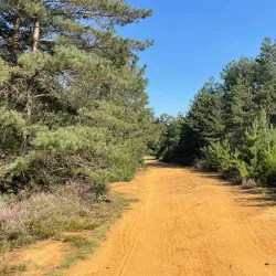 Cycling Routes in Tessenderlo - Tessenderlo