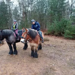 Cycling Routes in Tessenderlo - Tessenderlo