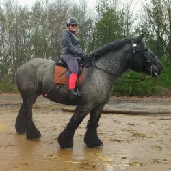 Cycling Routes in Tessenderlo - Tessenderlo