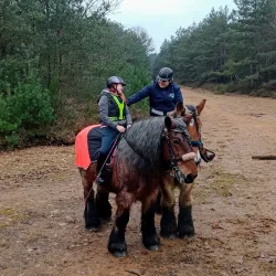 Cycling Routes in Tessenderlo - Tessenderlo