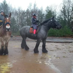 Cycling Routes in Tessenderlo - Tessenderlo