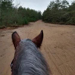 Cycling Routes in Tessenderlo - Tessenderlo