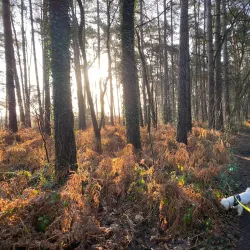 Cycling Routes in Tessenderlo - Tessenderlo
