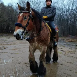 Cycling Routes in Tessenderlo - Tessenderlo