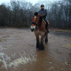 Cycling Routes in Tessenderlo - Tessenderlo