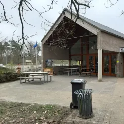 De Liereman Nature Reserve - Tessenderlo