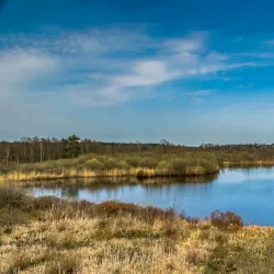 De Liereman Nature Reserve - Tessenderlo