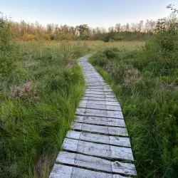 De Liereman Nature Reserve - Tessenderlo