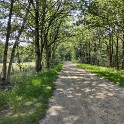 De Liereman Nature Reserve - Tessenderlo