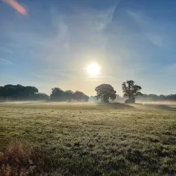 De Liereman Nature Reserve - Tessenderlo