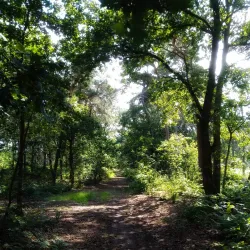 De Mosten Nature Reserve - Tessenderlo