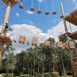 De Mosten Nature Reserve - Tessenderlo