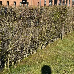 Kanaal Dessel-Tessenderlo - Tessenderlo