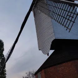 Local Art Galleries and Workshops - Tessenderlo