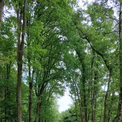 Provinciaal Domein De Averegten - Tessenderlo