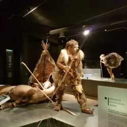 Gallo-Roman Museum - Tongeren
