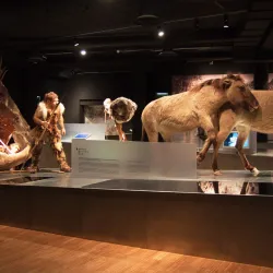 Tongeren Toy Museum - Tongeren