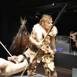 Tongeren Toy Museum - Tongeren