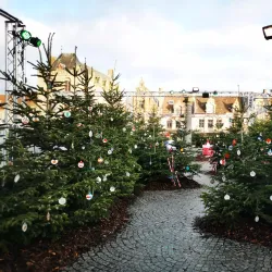 Veurne Market Square (Grote Markt) - Veurne