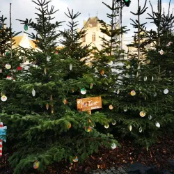 Veurne Market Square (Grote Markt) - Veurne