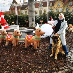 Veurne Market Square (Grote Markt) - Veurne