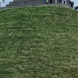 Waterloo Town Center - Waterloo