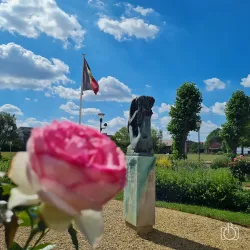 Gemeentemuseum Wemmel - Wemmel