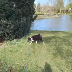 Parc de Wemmel - Wemmel