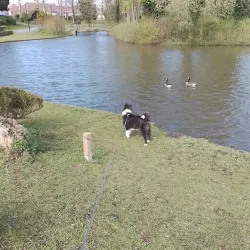 Parc de Wemmel - Wemmel