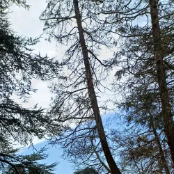 Parc de Wemmel - Wemmel