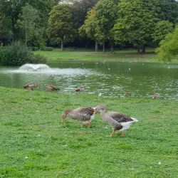 Wemmel Castle - Wemmel