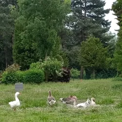 Wemmel Castle - Wemmel