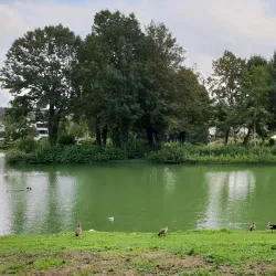 Wemmel Castle - Wemmel