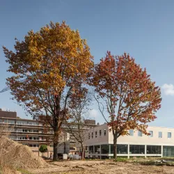 Wemmel Library - Wemmel