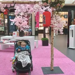 Local Market Square - Wezembeek-Oppem