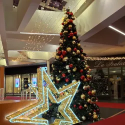 Local Market Square - Wezembeek-Oppem