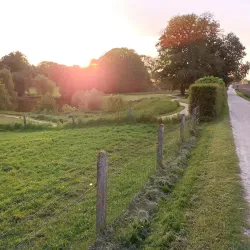 Park Ter Rijst - Wezembeek-Oppem
