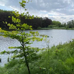 Tervuren Park (nearby) - Wezembeek-Oppem