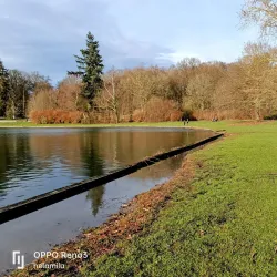 Tervuren Park (nearby) - Wezembeek-Oppem