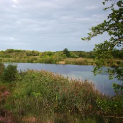 De Maten Park - Winterslag