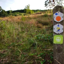 De Maten Park - Winterslag