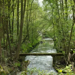De Maten Park - Winterslag