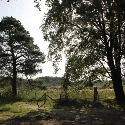 De Maten Park - Winterslag