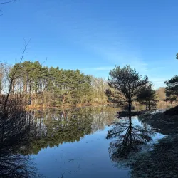 De Maten Park - Winterslag