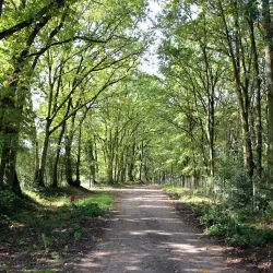 De Maten Park - Winterslag