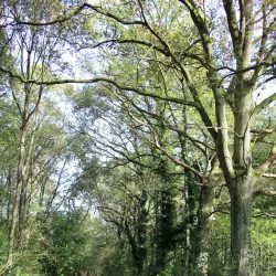 De Maten Park - Winterslag