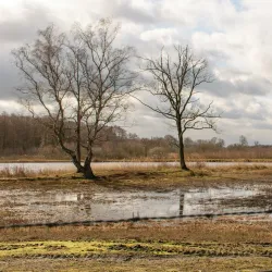 De Maten Park - Winterslag