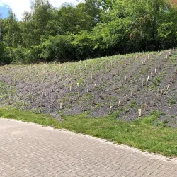 Limburg Cycling Routes - Winterslag