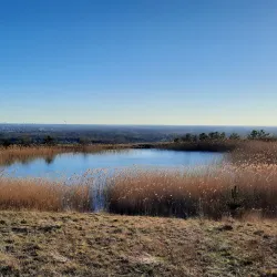 Limburg Cycling Routes - Winterslag